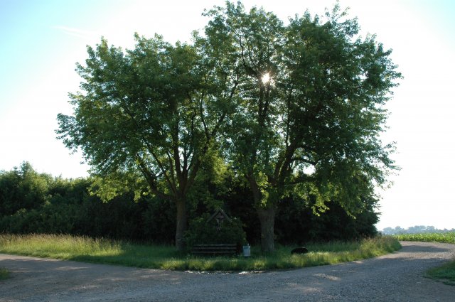 Grossansicht in neuem Fenster: Griesfeldkreuz